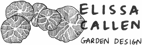 Elissa Callen Garden Design